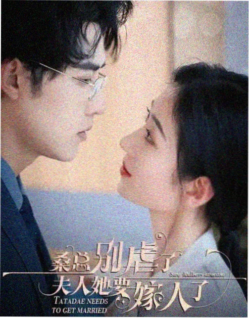 全网上新网剧